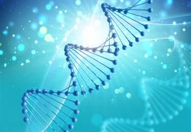 EpigeneticsMarket Global Trends, Market Share, Industry Size, Growth, Opportunities, and Market Forecast 2020 to 2027