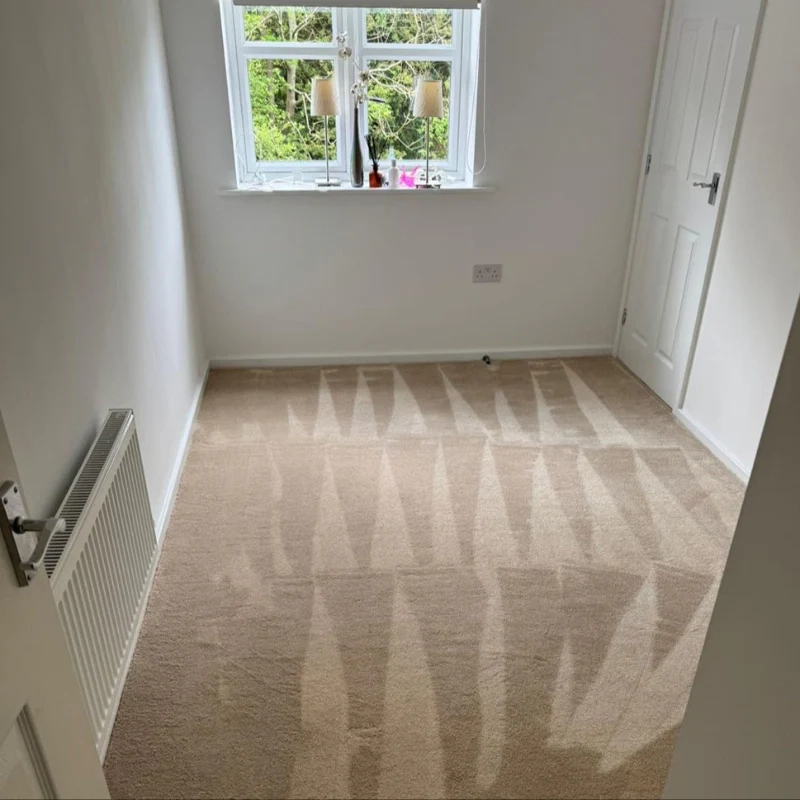 What is a Saxony Carpet? A Complete Guide for Homeowners