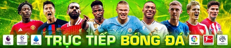 falconsgrup.com lừa đảo