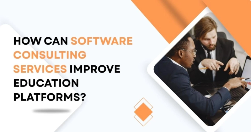 How Can Software Consulting Services Improve Education Platforms?