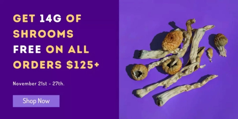 Magic Mushrooms as a Great Medicine Alternative
