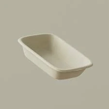 Cane Fiber Trays: The Branding and Sustainability Secret Every Food Business Needs