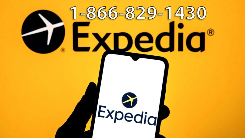 Full List of QuickBooks Customer Service Numbers in the USA: A Step-by-step Guide