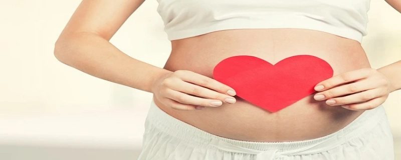 What Is The Process Of Egg Donations In A Surrogate Agency?