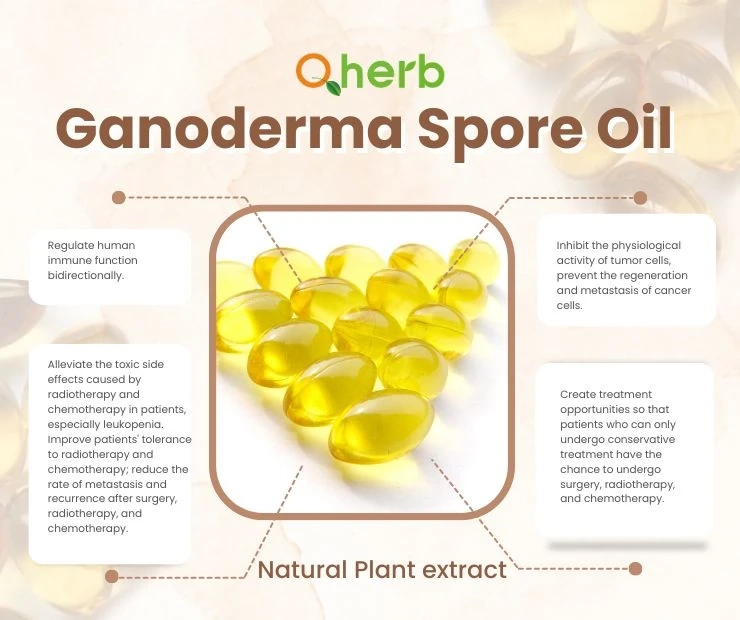 What is Ganoderma Spore Oil