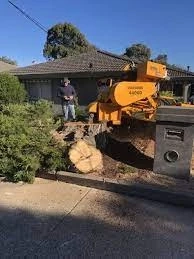 THE BENEFITS OF STUMP GRINDING