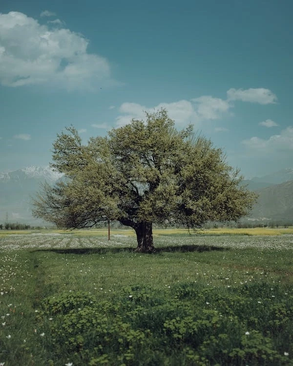 How Poetry Is the Rawest Form Of Expression While Channeling Grief