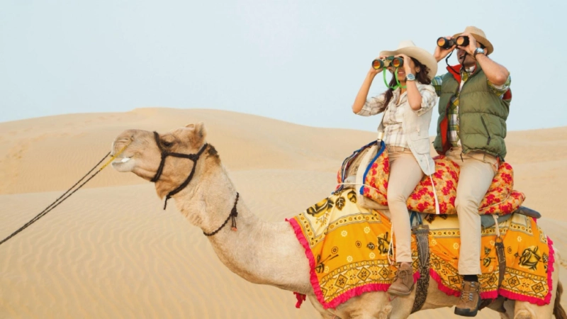 Why Desert Safaris Feel More Magical in Jaisalmer’s Winter