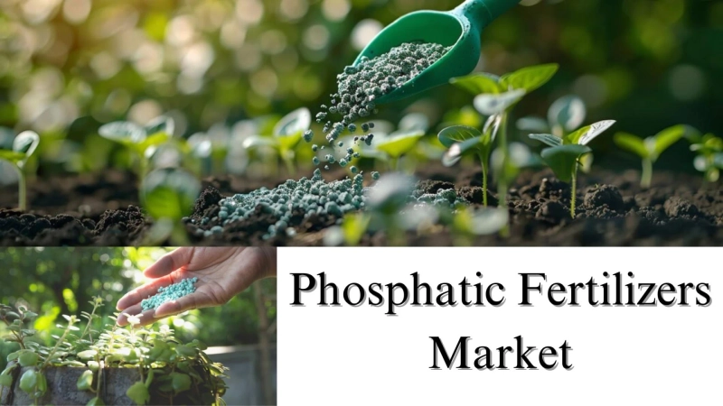 Phosphatic Fertilizers Market Size, Share, Growth Forecast Through 2032