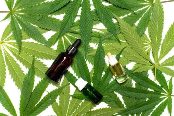 CBD Oil's Stress-Alleviating Mechanisms Unveiled
