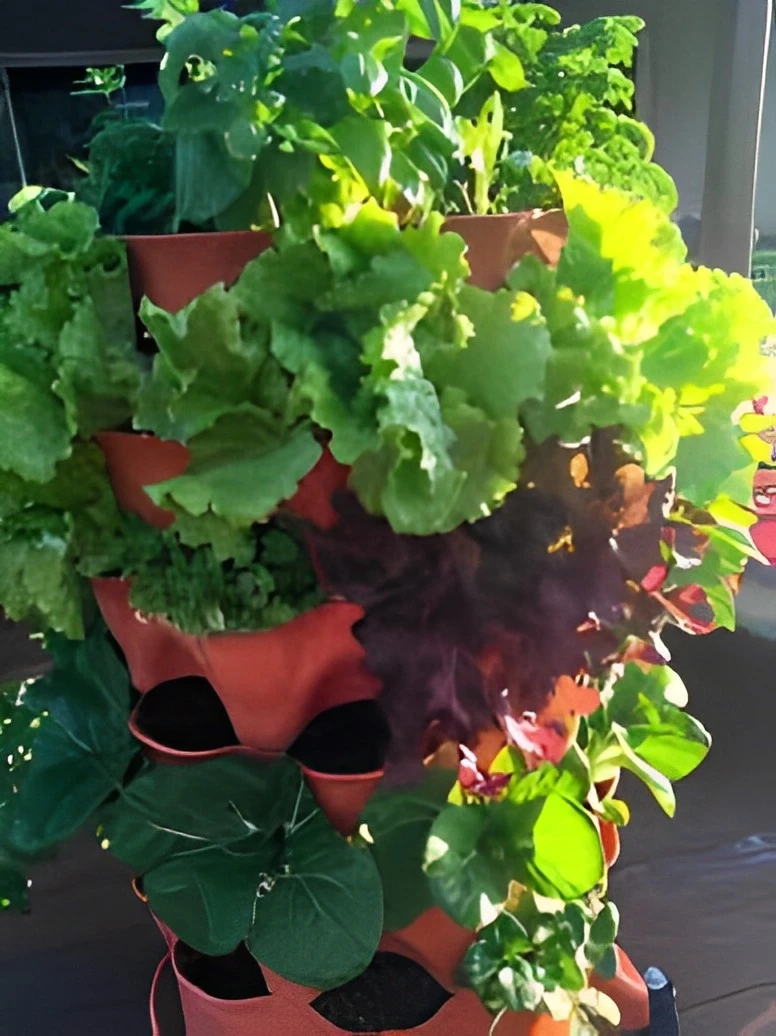 Inside Garden Tower: Cultivating Natural Beauty and Freshness at Your Fingertips