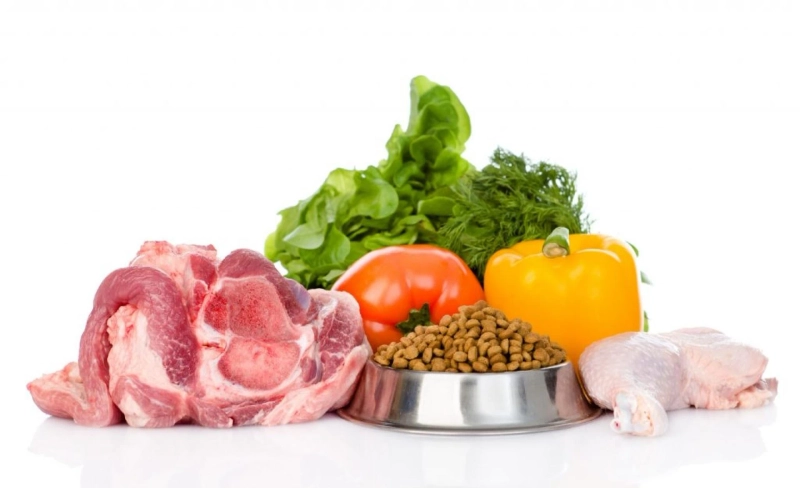 Pet Nutrition: How to pick the best nourishment for your canine or feline
