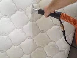 Carpet Cleaning: Understanding the Ingredients for Effective Stain Removal