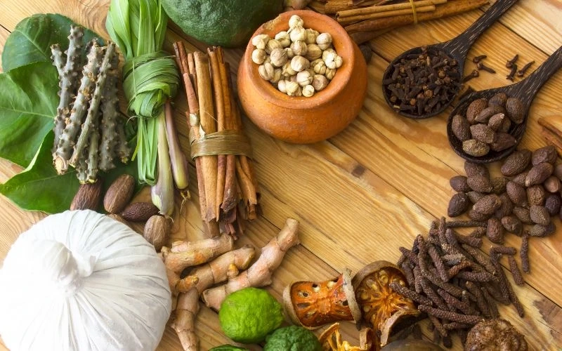 Ayurveda Tourism in Kerala: What Travelers Should Know