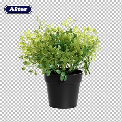 Image Masking - Image Editing Media