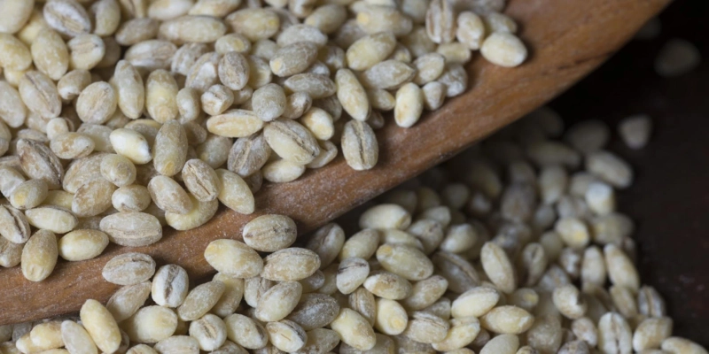 Barley Market Size, Share, Top Companies, Industry Overview, Analysis and Forecast 2023-2028