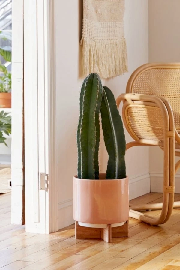 10 Large Planters That Won't Cost You An Arm and a Leg