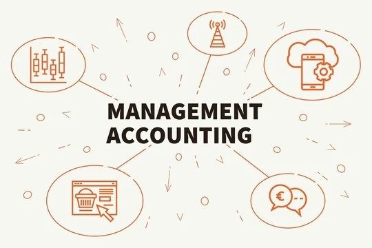 Outsourcing Your Financial Compass: The Power of Management Accounting