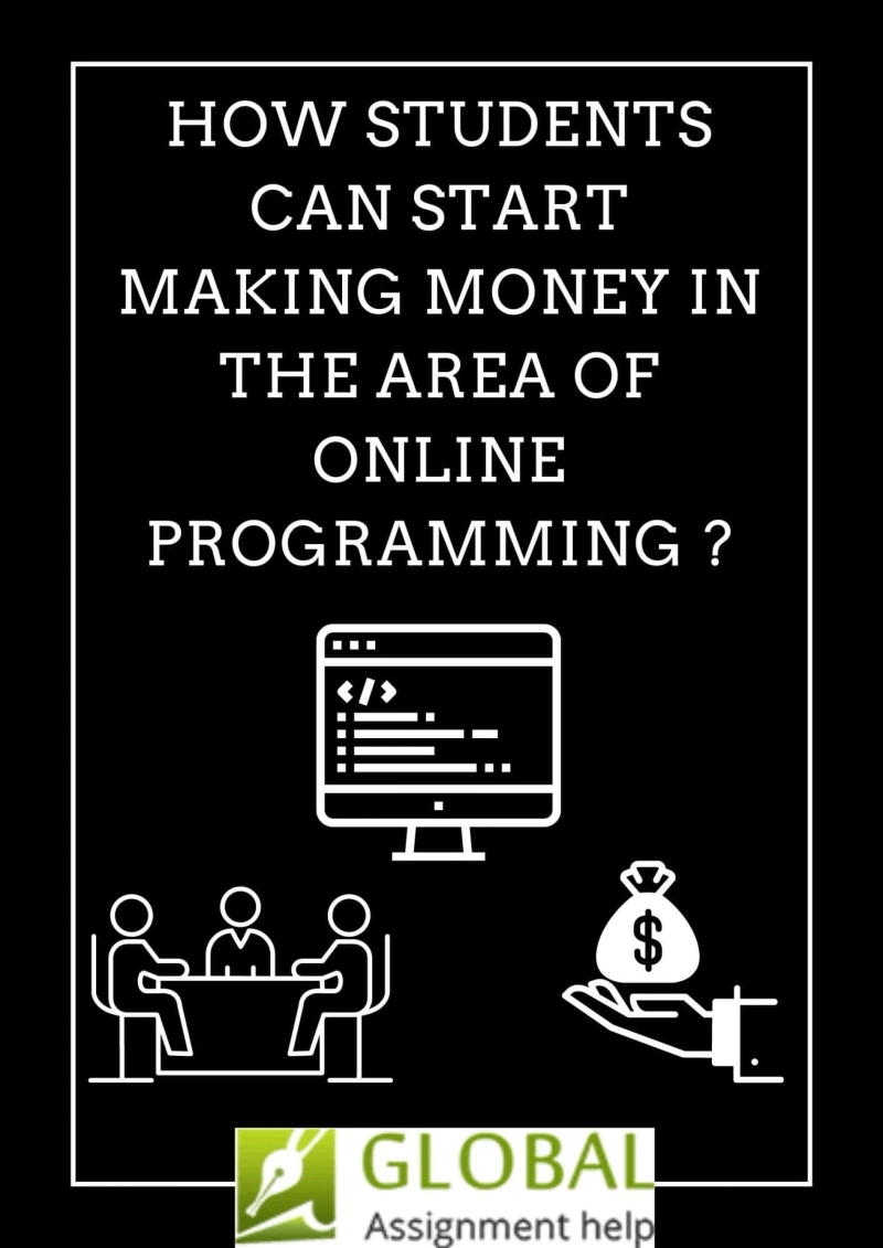 How Students Can Start Making Money in The Area Of Online Programming ?