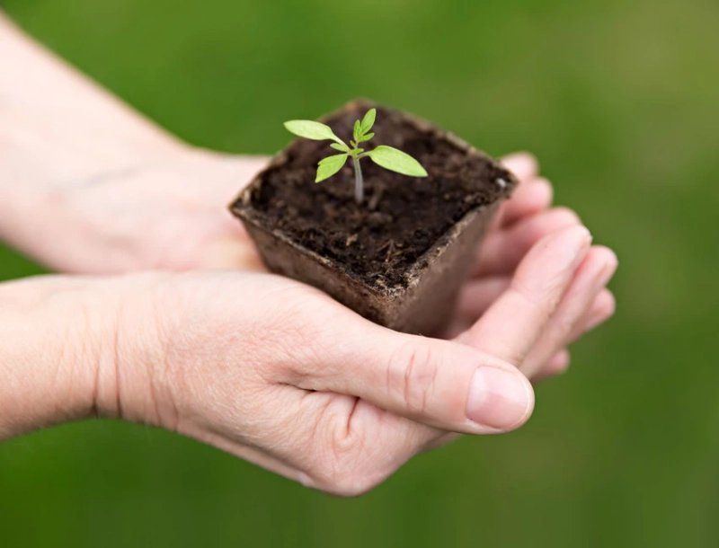 Schedule Your Eating Disorder Counseling in Urbana