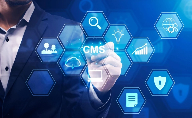 How Do CMS Development Services Support Business Growth?