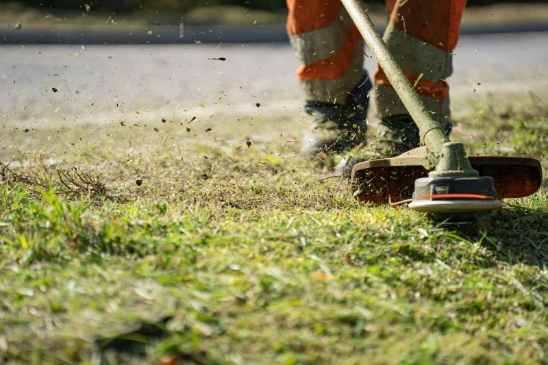 Expert Yard & Property Clean-Up Services: Restore Your Outdoor Space Today