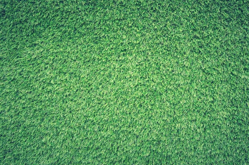 What you should be aware of when choosing artificial grass?