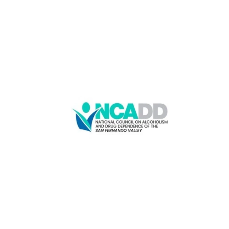 Understanding NCADD SFV: Comprehensive Support for Addiction Recovery and Prevention
