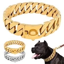 Exploring the World of Dog Collars in Australia: A Comprehensive Guide