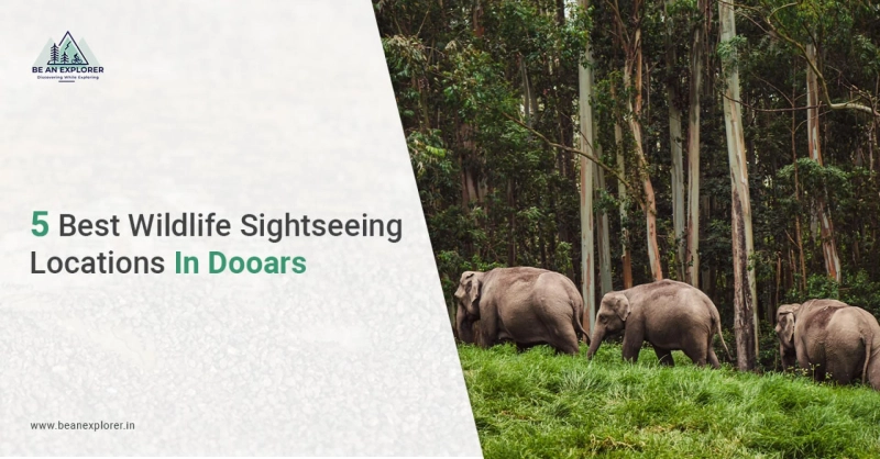 5 Best Wildlife Sightseeing Locations In Dooars