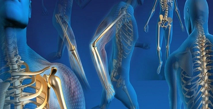 Orthopedic Trauma Devices Market by Type, Share, Application and Forecast Till 2027