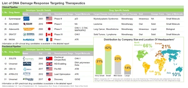DNA Damage Response Targeting Therapeutics (Beyond PARP Inhibitors) - Current Market Landscape