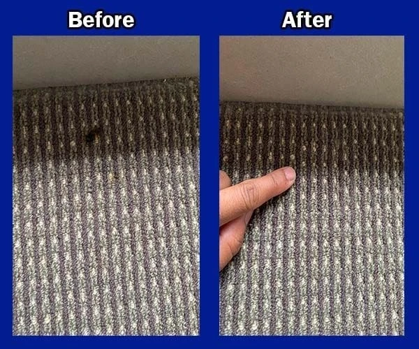 Best Carpet Repair Services in Sunshine Coast