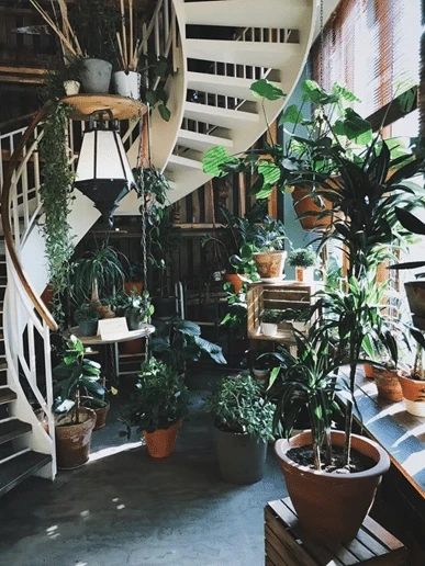 Gardening Trends You Need To Try!