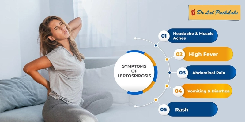 Leptospirosis: A Hidden Threat During Monsoon Rains 