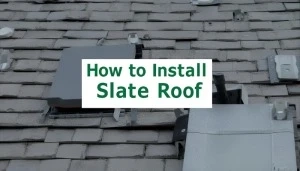 Roof Shingles Repair