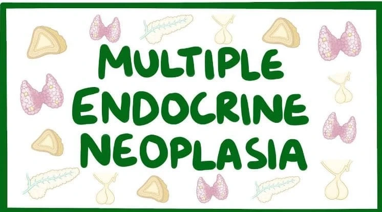 What is Multiple Endocrine Neoplasia?