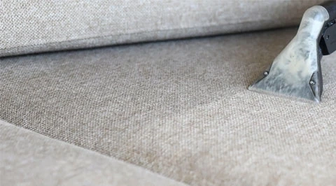 What's the Best Way to Clean Your Carpet: With Professional Help or DIY?