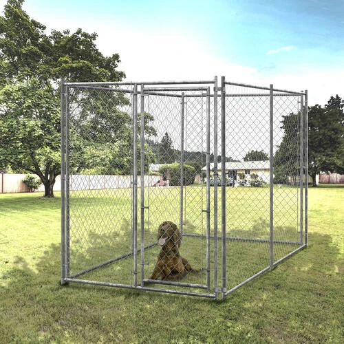 How to Keep Your Pets Safe During DIY Projects