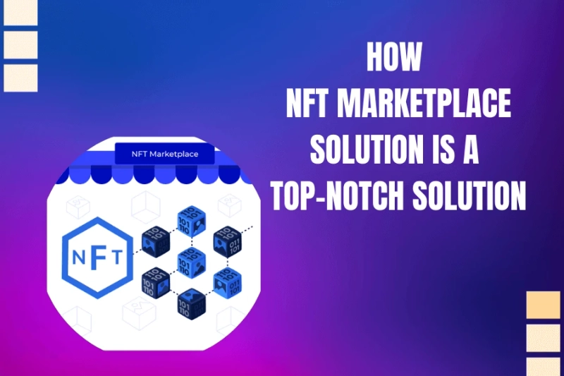 How NFT Marketplace Solution is a Top-Notch Solution