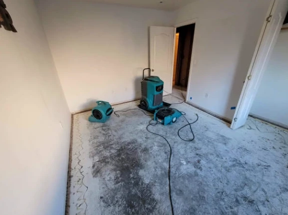 Water Damage Restoration Excellence: How to Dry Out Your Home After Water Damage