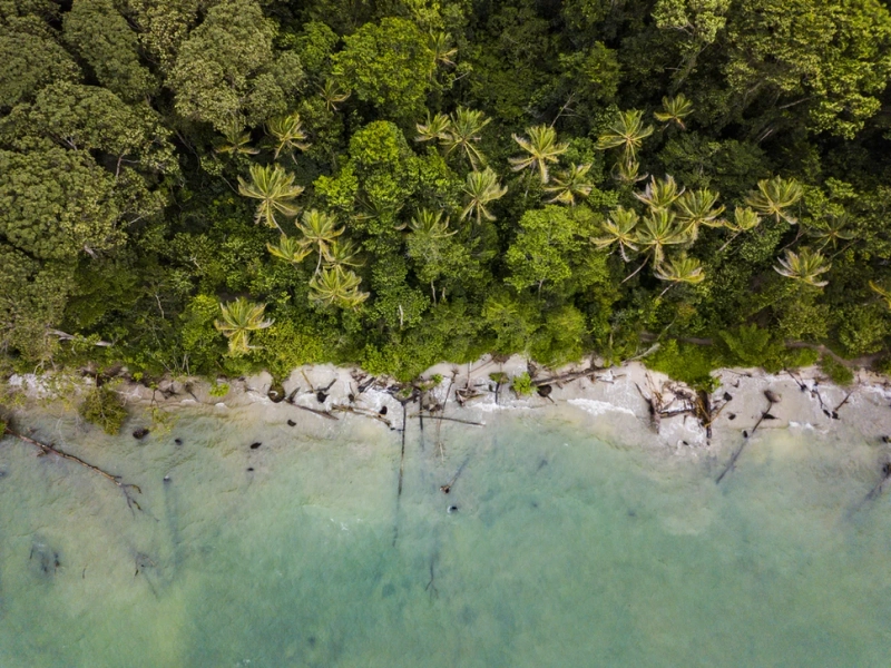 The Rarest Creatures You’ll Find in Costa Rica