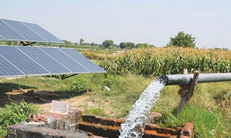 How Solar Energy is Revolutionizing Agriculture in Pakistan