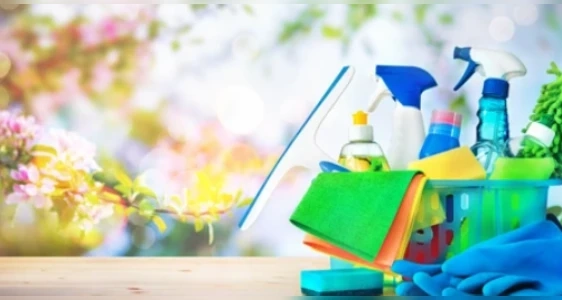 Spring Clean-Up Services: Get Your Yard Ready for Summer!