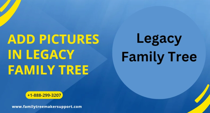 How To Add Pictures In Legacy Family Tree?