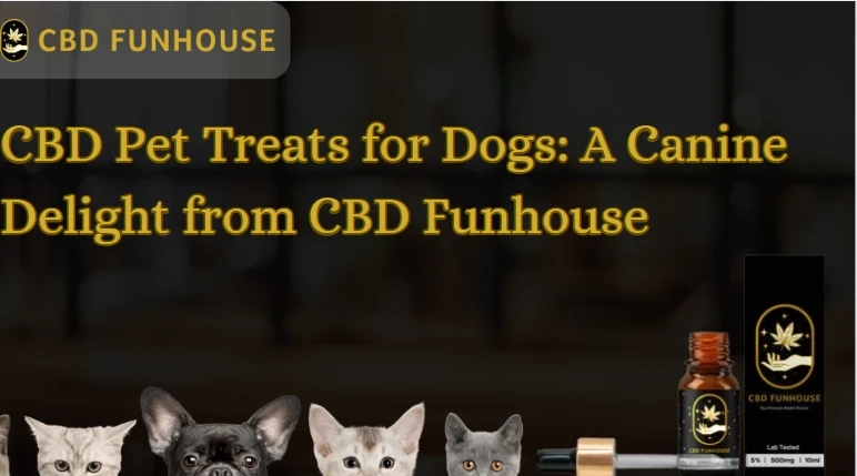 The Ultimate Guide to Finding the Best CBD Oil for Pets