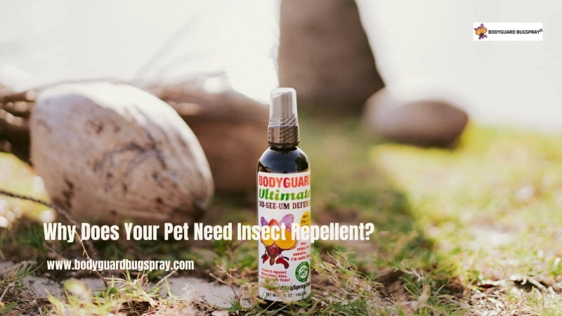 Why Does Your Pet Need Insect Repellent?