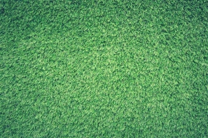 What you should be aware of when choosing artificial grass?