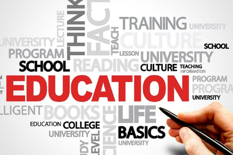 Mastering the Art of Essay Writing: Strategies for Academic Success