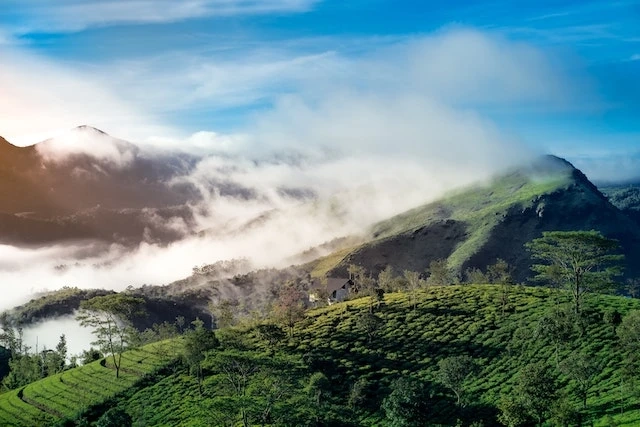 Discover the Enchanting Beauty of Munnar